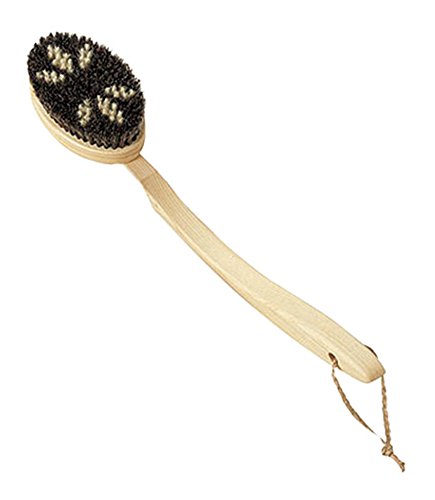 body-brush-20260918